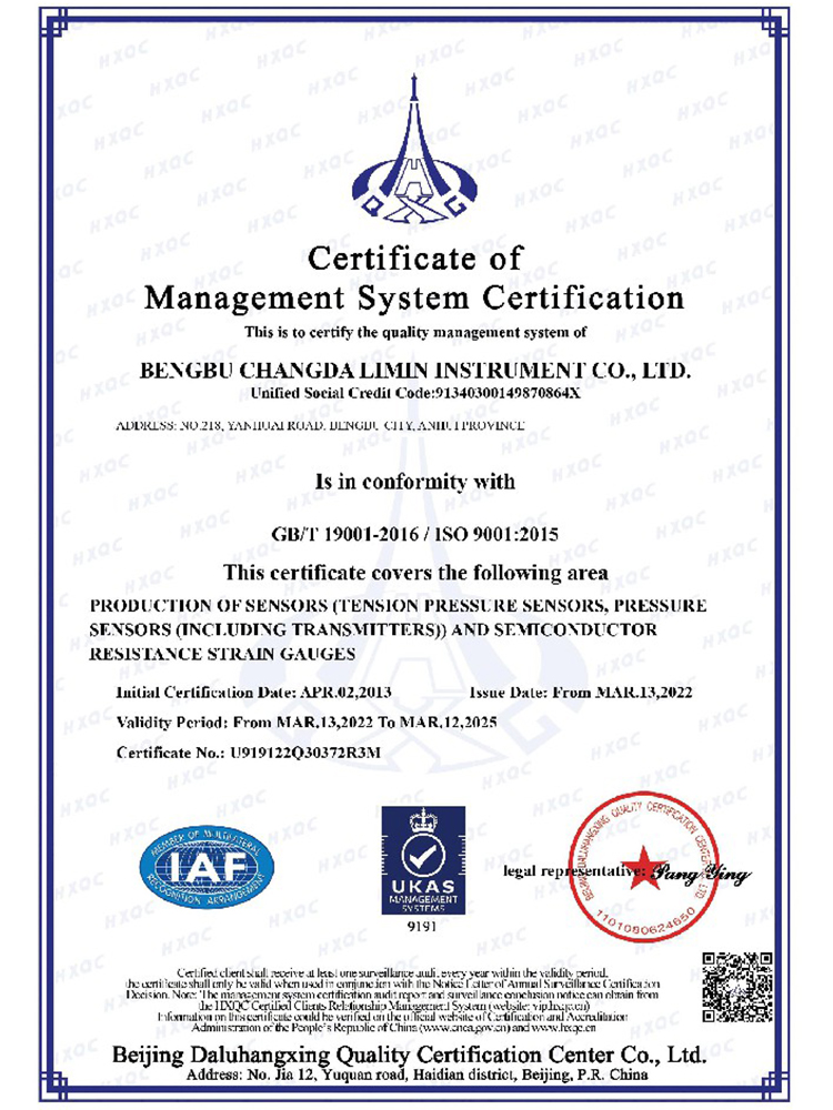 ISO9001管理體系認(rèn)證證書(shū)(英文)